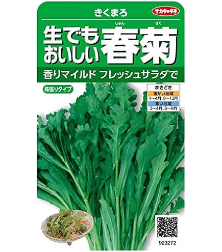 冬野菜、姫春菊の強化種３００粒＋全国匿名送料無料です Amazon.co.jp: 冬野菜、姫春菊の強化種500粒＋全国 : DIY, Tools